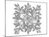 Advent Wreath Ornament Coloring Art-null-Mounted Coloring Poster