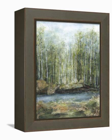 Adventure II-Beverly Crawford-Framed Stretched Canvas