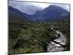 Photographic Print