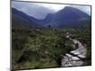 Photographic Print