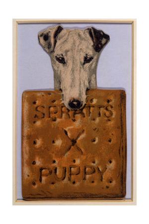 greyhound biscuits