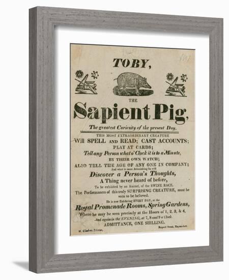 Advert for Toby the Sapient Pig, the Greatest Curiosity of the Present Day-null-Framed Giclee Print