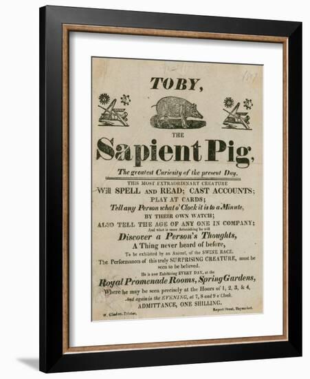 Advert for Toby the Sapient Pig, the Greatest Curiosity of the Present Day-null-Framed Giclee Print