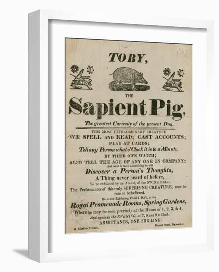 Advert for Toby the Sapient Pig, the Greatest Curiosity of the Present Day-null-Framed Giclee Print