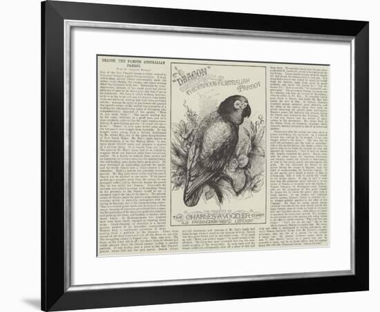 Advertisement, Deacon, the Famous Australian Parrot-null-Framed Giclee Print