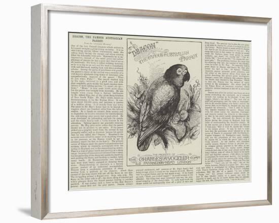 Advertisement, Deacon, the Famous Australian Parrot-null-Framed Giclee Print