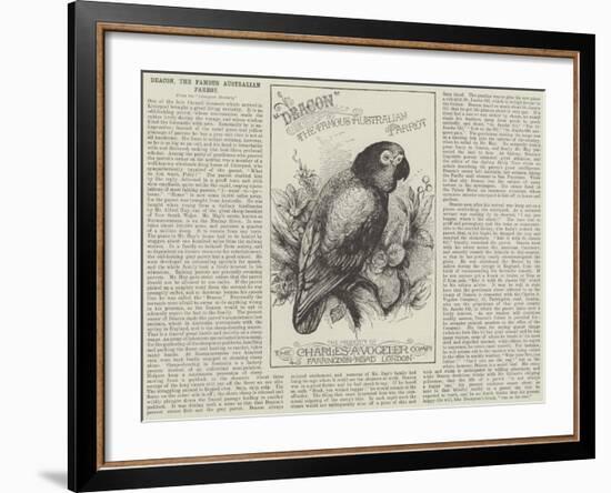 Advertisement, Deacon, the Famous Australian Parrot-null-Framed Giclee Print