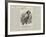 Advertisement, Deacon, the Famous Australian Parrot-null-Framed Giclee Print