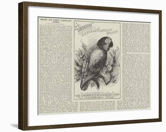 Advertisement, Deacon, the Famous Australian Parrot-null-Framed Giclee Print