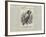 Advertisement, Deacon, the Famous Australian Parrot-null-Framed Giclee Print