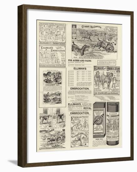 Advertisement, Elliman's Royal Embrocation-null-Framed Giclee Print