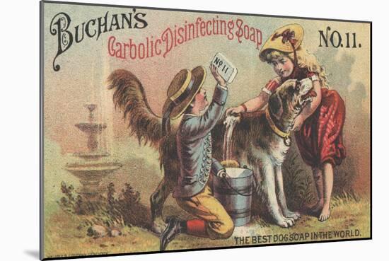 Advertisement for Buchan's Carbolic Disinfecting Soap No. 11, C.1880-American School-Mounted Giclee Print