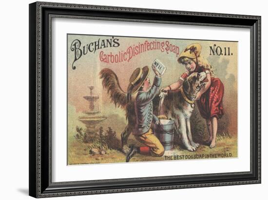 Advertisement for Buchan's Carbolic Disinfecting Soap No. 11, C.1880-American School-Framed Giclee Print