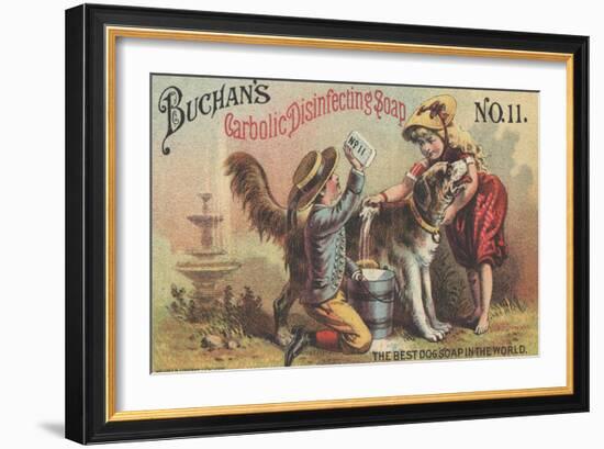 Advertisement for Buchan's Carbolic Disinfecting Soap No. 11, C.1880-American School-Framed Giclee Print