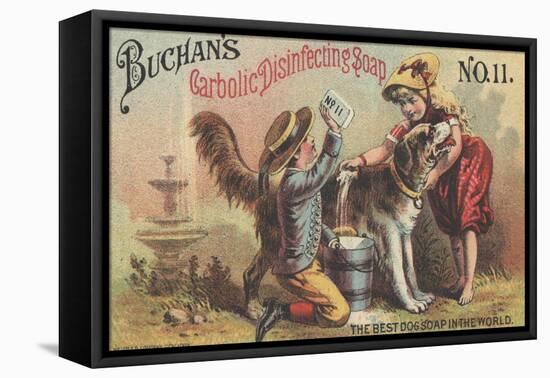 Advertisement for Buchan's Carbolic Disinfecting Soap No. 11, C.1880-American School-Framed Premier Image Canvas