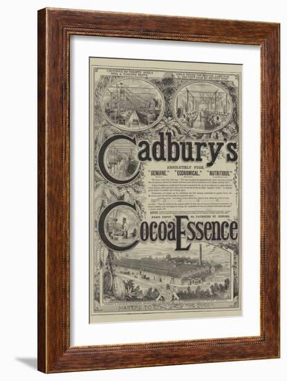 Advertisement for Cadbury's Cocoa Essence-null-Framed Giclee Print