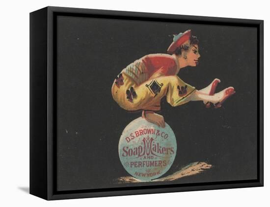 Advertisement for D. S. Brown and Co. Soap Makers and Perfumers, New York, C.1880-American School-Framed Premier Image Canvas