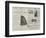 Advertisements-null-Framed Giclee Print