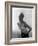 Advertising Image for Truline Bras, 1963-Michael Walters-Framed Photographic Print