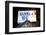 Advertising - Mamma Mia - Times square - Manhattan - New York City - United States-Philippe Hugonnard-Framed Photographic Print