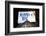 Advertising - Mamma Mia - Times square - Manhattan - New York City - United States-Philippe Hugonnard-Framed Photographic Print