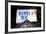 Advertising - Mamma Mia - Times square - Manhattan - New York City - United States-Philippe Hugonnard-Framed Photographic Print