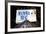 Advertising - Mamma Mia - Times square - Manhattan - New York City - United States-Philippe Hugonnard-Framed Photographic Print