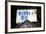 Advertising - Mamma Mia - Times square - Manhattan - New York City - United States-Philippe Hugonnard-Framed Photographic Print