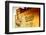 Advertising - Nathan's - Coney Island - United States-Philippe Hugonnard-Framed Photographic Print