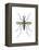 Aedes Mosquito (Aedes Aegypti), Yellow Fever Mosquito, Insects-Encyclopaedia Britannica-Framed Stretched Canvas