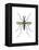 Aedes Mosquito (Aedes Aegypti), Yellow Fever Mosquito, Insects-Encyclopaedia Britannica-Framed Stretched Canvas