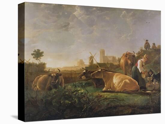 Stretched Canvas Print, , large