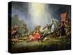 Stretched Canvas Print