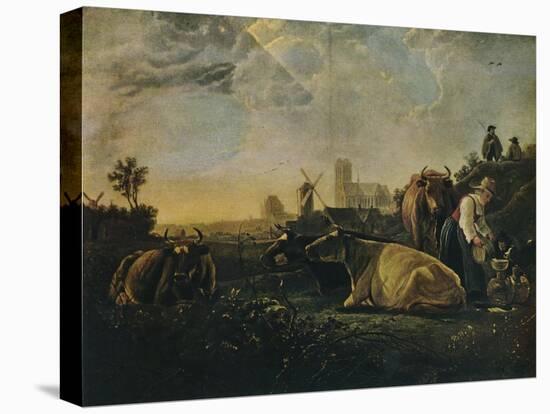 Stretched Canvas Print, , large