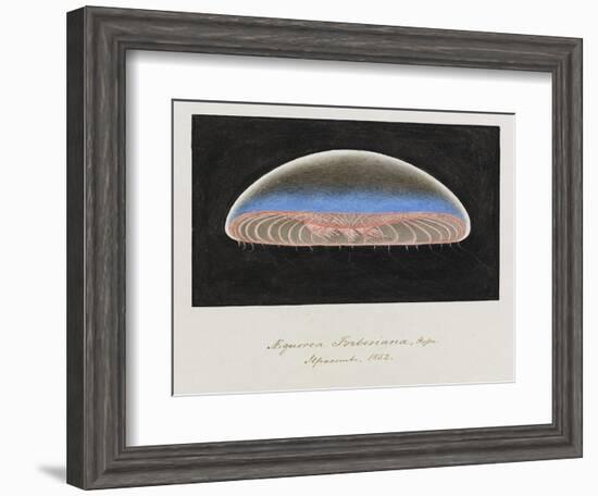 Aequorea Forbesiana: Jellyfish, 1852-Philip Henry Gosse-Framed Giclee Print