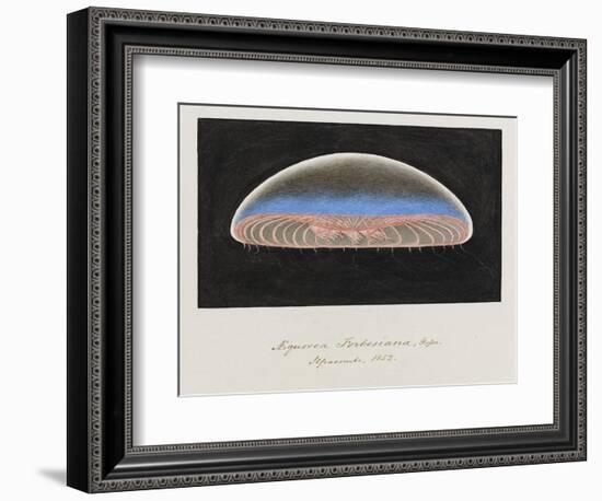 Aequorea Forbesiana: Jellyfish, 1852-Philip Henry Gosse-Framed Giclee Print