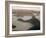 Aerial at Dusk of Sugar Loaf Mountain and Rio de Janeiro-Dmitri Kessel-Framed Photographic Print