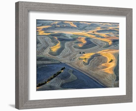 Aerial at Harvest Time in the Palouse Region of Eastern Washington-Julie Eggers-Framed Photographic Print