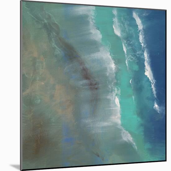 Aerial Coast II-Sheila Finch-Mounted Art Print