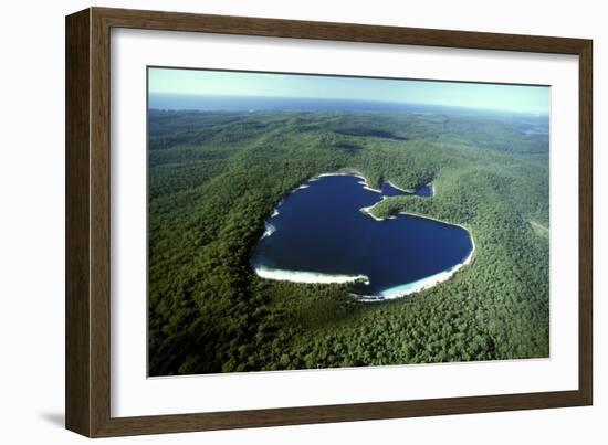 Aerial Lake Mckenzie (Boorangoora) a Perched Lake-null-Framed Photographic Print