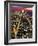 Aerial Night Shot of NYC-Rudi Von Briel-Framed Photographic Print