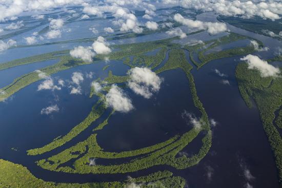 Aerial Of Amazon River Basin Manaus Brazil Premium Photographic Print Art Wolfe Art Com Aerial Of Amazon River Basin Manaus Brazil Premium Photographic Print Art Wolfe Art Com