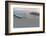 Aerial of Bora Bora, Society Islands, French Polynesia, Pacific-Michael Runkel-Framed Photographic Print