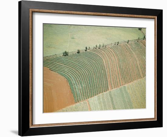 Aerial of Cultivated Farmland in Brazil-Dmitri Kessel-Framed Photographic Print