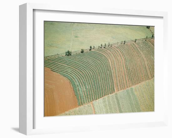 Aerial of Cultivated Farmland in Brazil-Dmitri Kessel-Framed Photographic Print