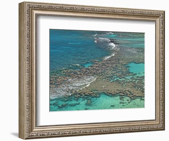 Aerial of Hanauma Bay Reef Snorkelers Near Oahu, Hawaii-Bill Bachmann-Framed Photographic Print