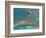 Aerial of Hanauma Bay Reef Snorkelers Near Oahu, Hawaii-Bill Bachmann-Framed Photographic Print