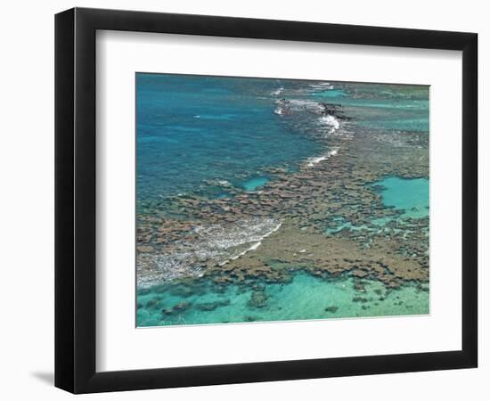 Aerial of Hanauma Bay Reef Snorkelers Near Oahu, Hawaii-Bill Bachmann-Framed Photographic Print