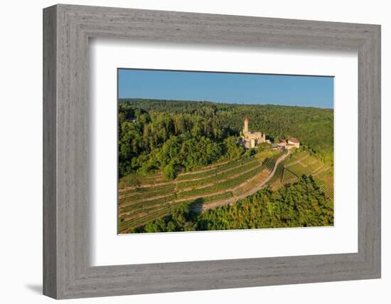 Aerial of Hornberg Castle, Neckarzimmern, Neckartal Valley, Odenwald, Burgenstrasse-Markus Lange-Framed Photographic Print