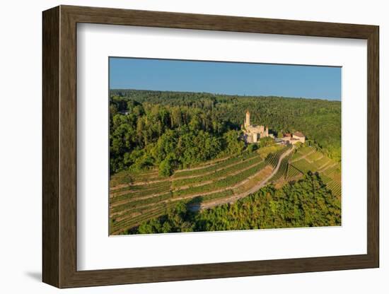 Aerial of Hornberg Castle, Neckarzimmern, Neckartal Valley, Odenwald, Burgenstrasse-Markus Lange-Framed Photographic Print